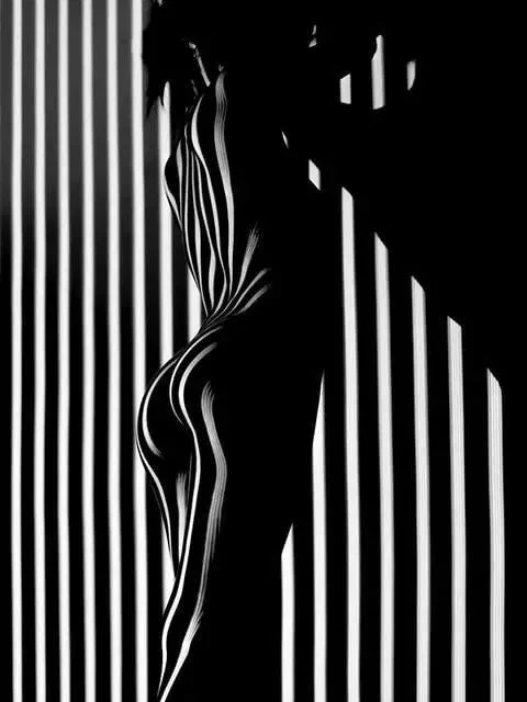 Black + White Post Modern Photography - Image 7