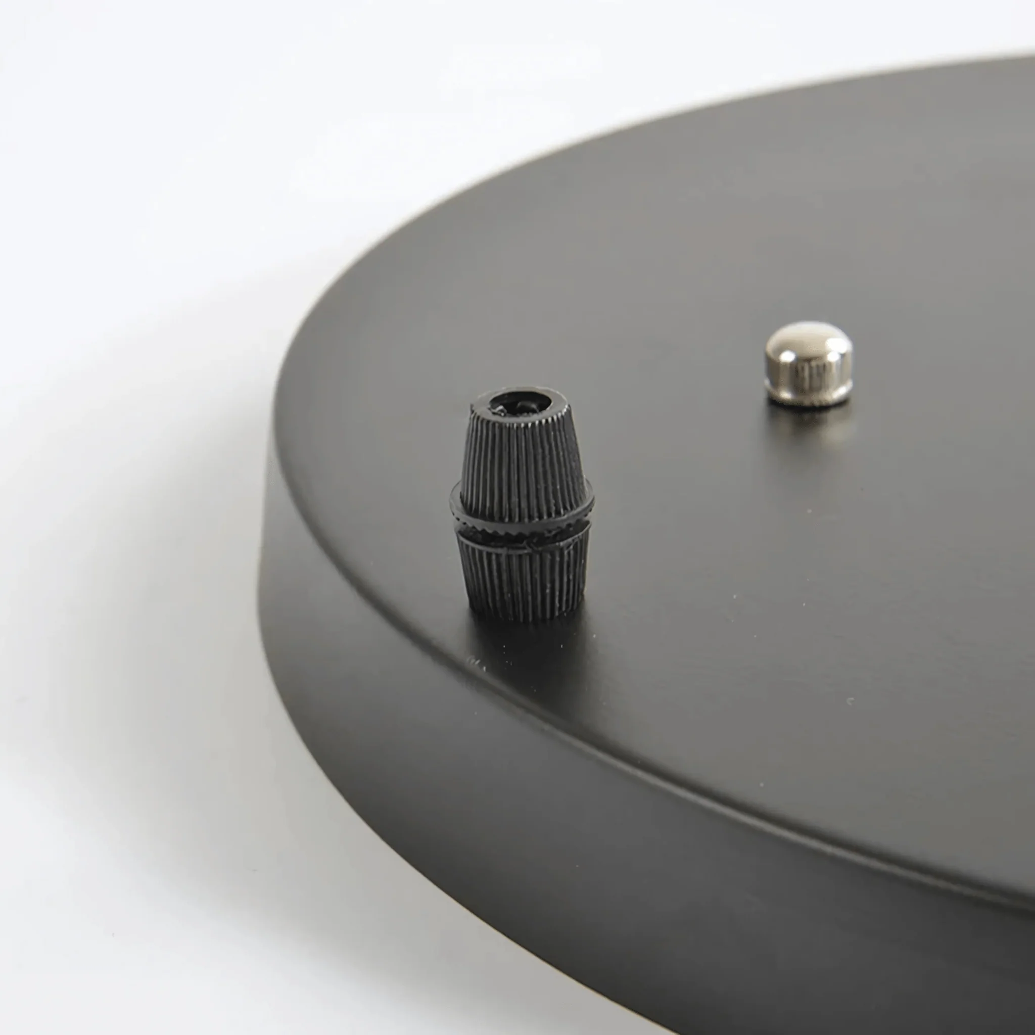 Ceiling Roses - Image 10