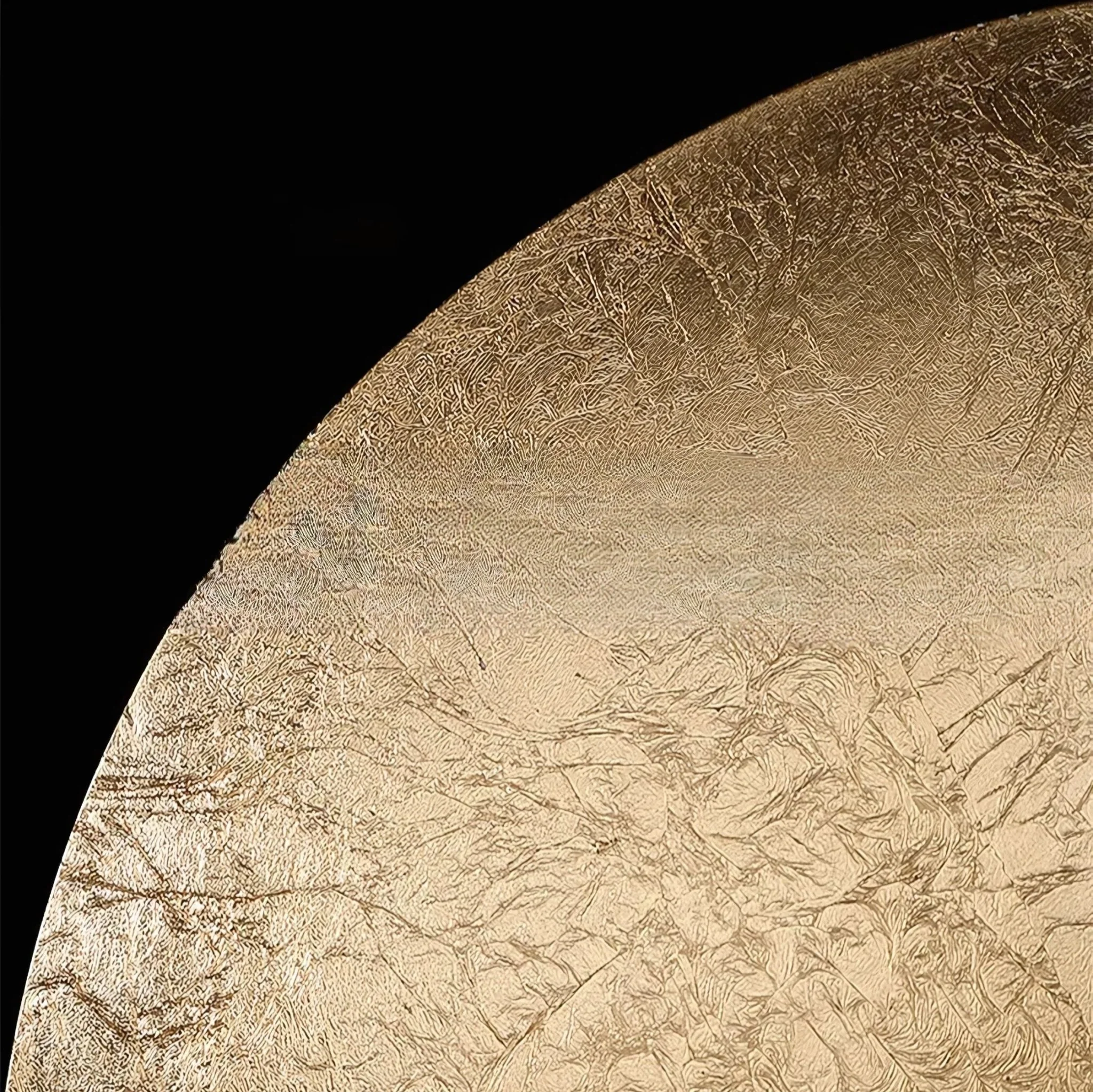 Coronet - Wall Light - Image 17