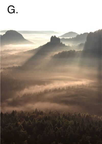 Idyllic Nature Prints - Image 10