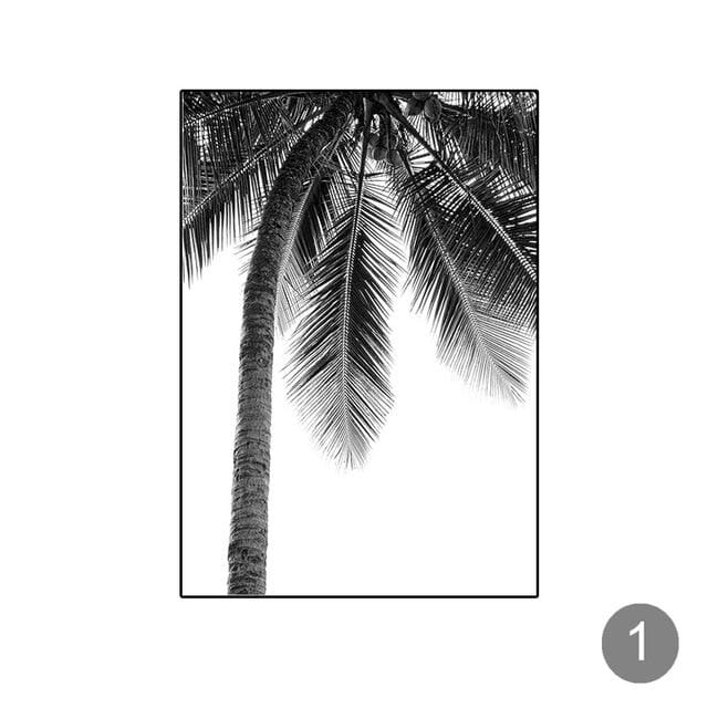 Tropical Black + White Photography - Image 2