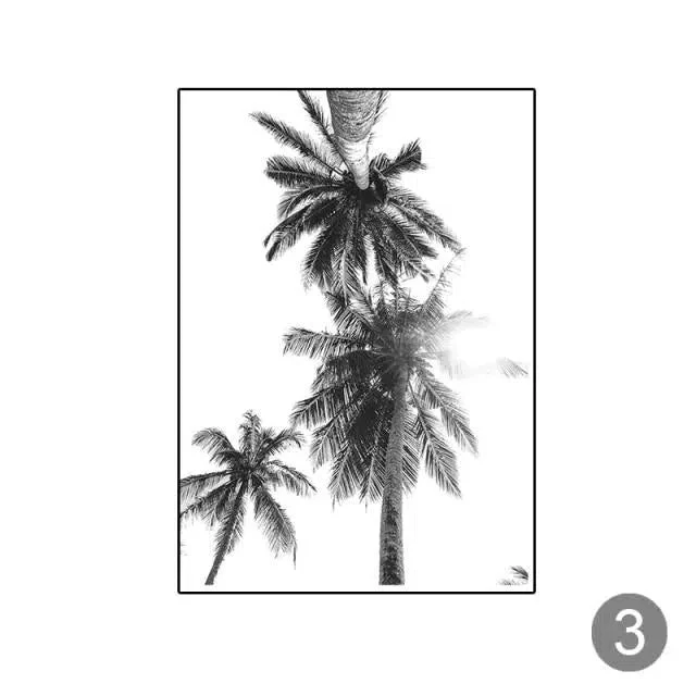 Tropical Black + White Photography - Image 4